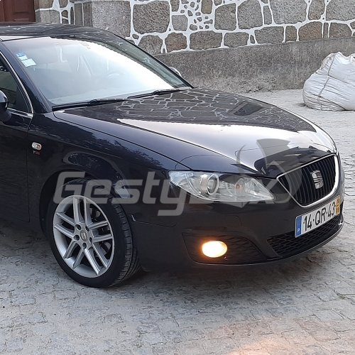 Seat Exeo 2.0 TDI